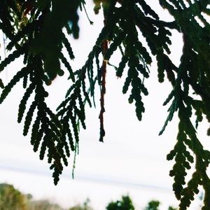 Meet your Posher, Sammie